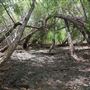 Stinchcomb Wildlife Refuge