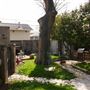 Mesta Park Historical Home