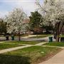 Mesta Park Historical Home