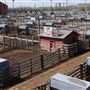 Oklahoma National Stockyard Exchange