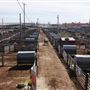 Oklahoma National Stockyard Exchange
