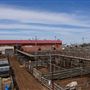 Oklahoma National Stockyard Exchange