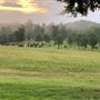 Hunt Mill Hollow Ranch
