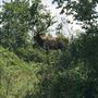 Hunt Mill Hollow Ranch