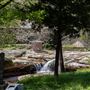 McFadden Falls