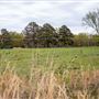 N 445 Rd W 678 Rd