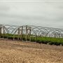 Sugar Tree Nursery