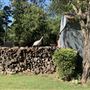 Blose Barn and Garden