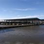 Royal Bay Marina