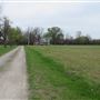 Pearson Farm