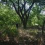 Rydell Ranch