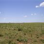 Rydell Ranch