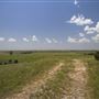 Rydell Ranch