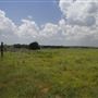 Rydell Ranch