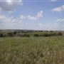 Rydell Ranch