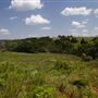 Rydell Ranch