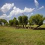 Rydell Ranch