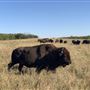 Clear Water Ranch