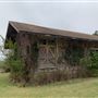 Ward Ranch