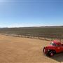 Big V Ranch