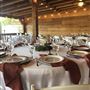 Nellis Vineyards