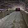 Christmas at Crystal Beach Park