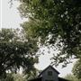 Spain Ranch