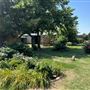 Nellis Vineyards