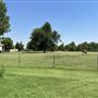 Nellis Vineyards
