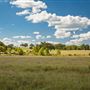 The Rockin J Ranch