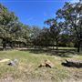 Chandler Park