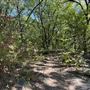 Chandler Park