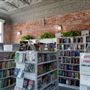Enchanted Children's Bookstore