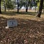 McCoy Park