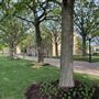 University of Tulsa