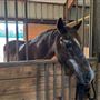 Stone Bluff Ranch