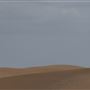 America's Oasis