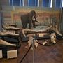 Northwestern Oklahoma State University Museum