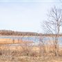 RC Longmire Lake