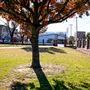 Train Depot Park