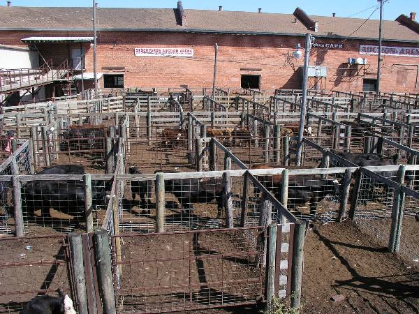 Oklahoma City Stockyards (2/9/2009)