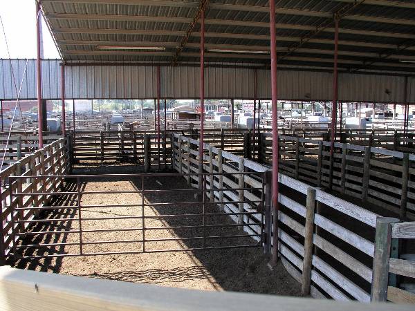 Oklahoma City Stockyards (2/9/2009)