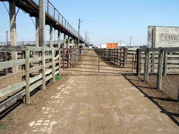 Oklahoma City Stockyards (2/9/2009)