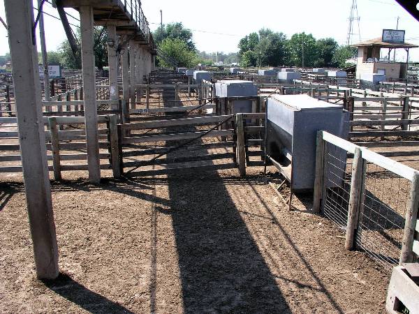 Oklahoma City Stockyards (2/9/2009)