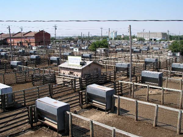 Oklahoma City Stockyards (2/9/2009)