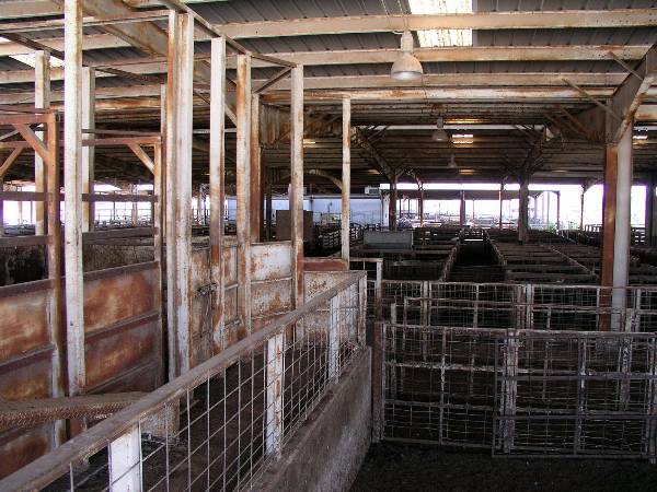 Oklahoma City Stockyards (2/9/2009)