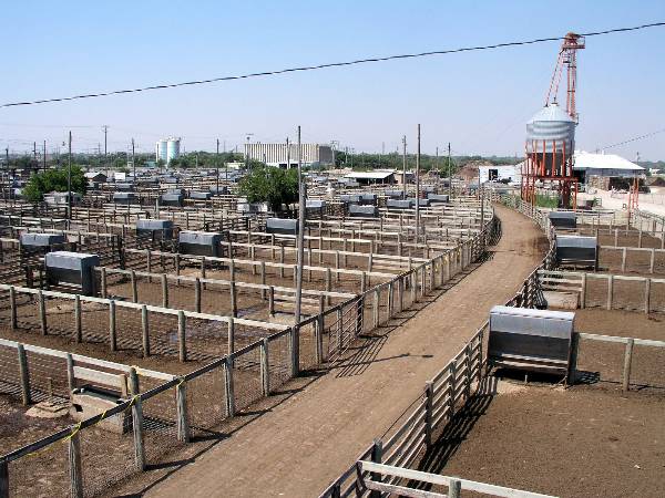 Oklahoma City Stockyards (2/9/2009)