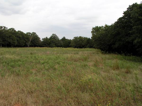 Tatanka Ranch (2/11/2009)