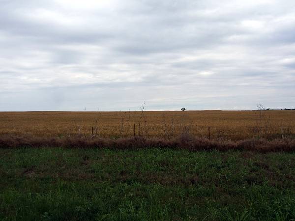 Route 66- El Reno (2/11/2009)