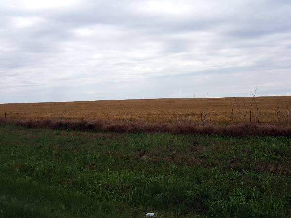 Route 66- El Reno (2/11/2009)